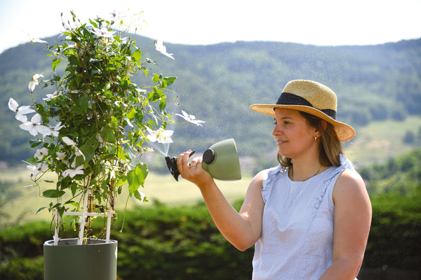 Pulvérisateur à gâchette en usage sur des plantes