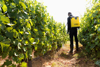 Comos 18L Pro - ambiance