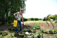 Floraly 7L - ambiance