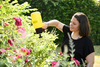 Elyte 2L 360° jardin - ambiance
